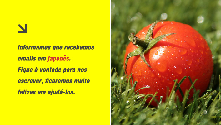 TOMATO:Associates®